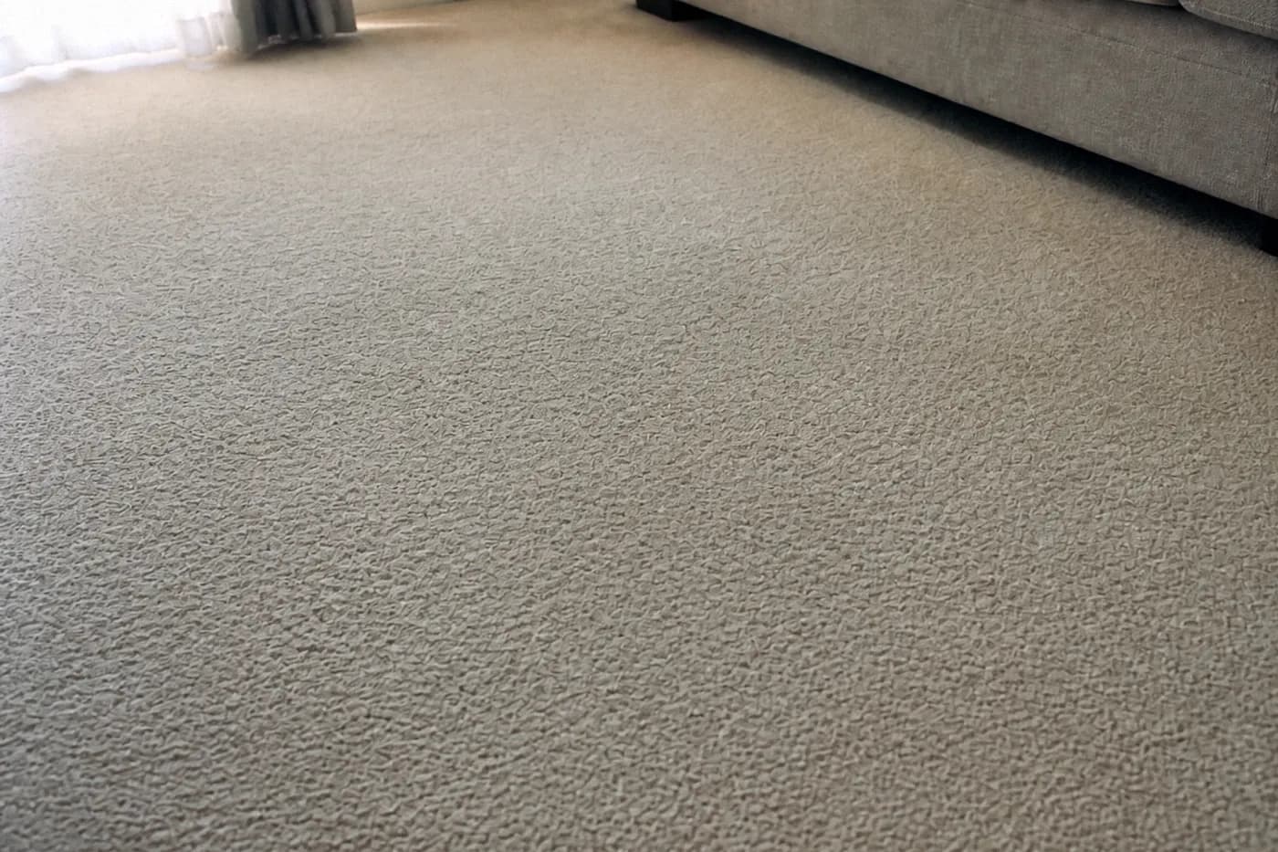 Same carpet after hot water extraction cleaning