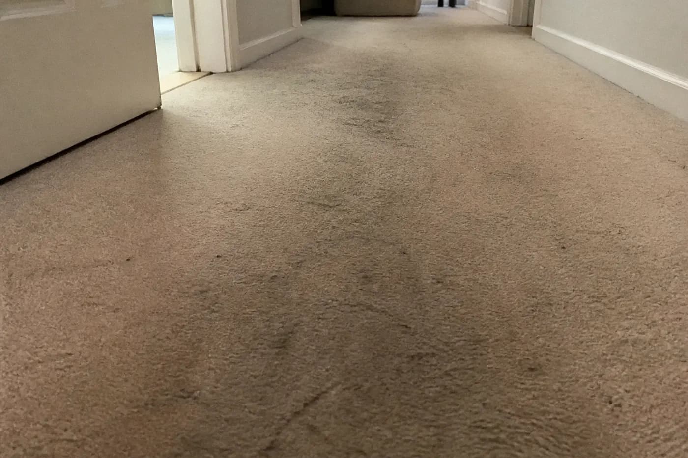 Dirty hallway carpet traffic lane before cleaning