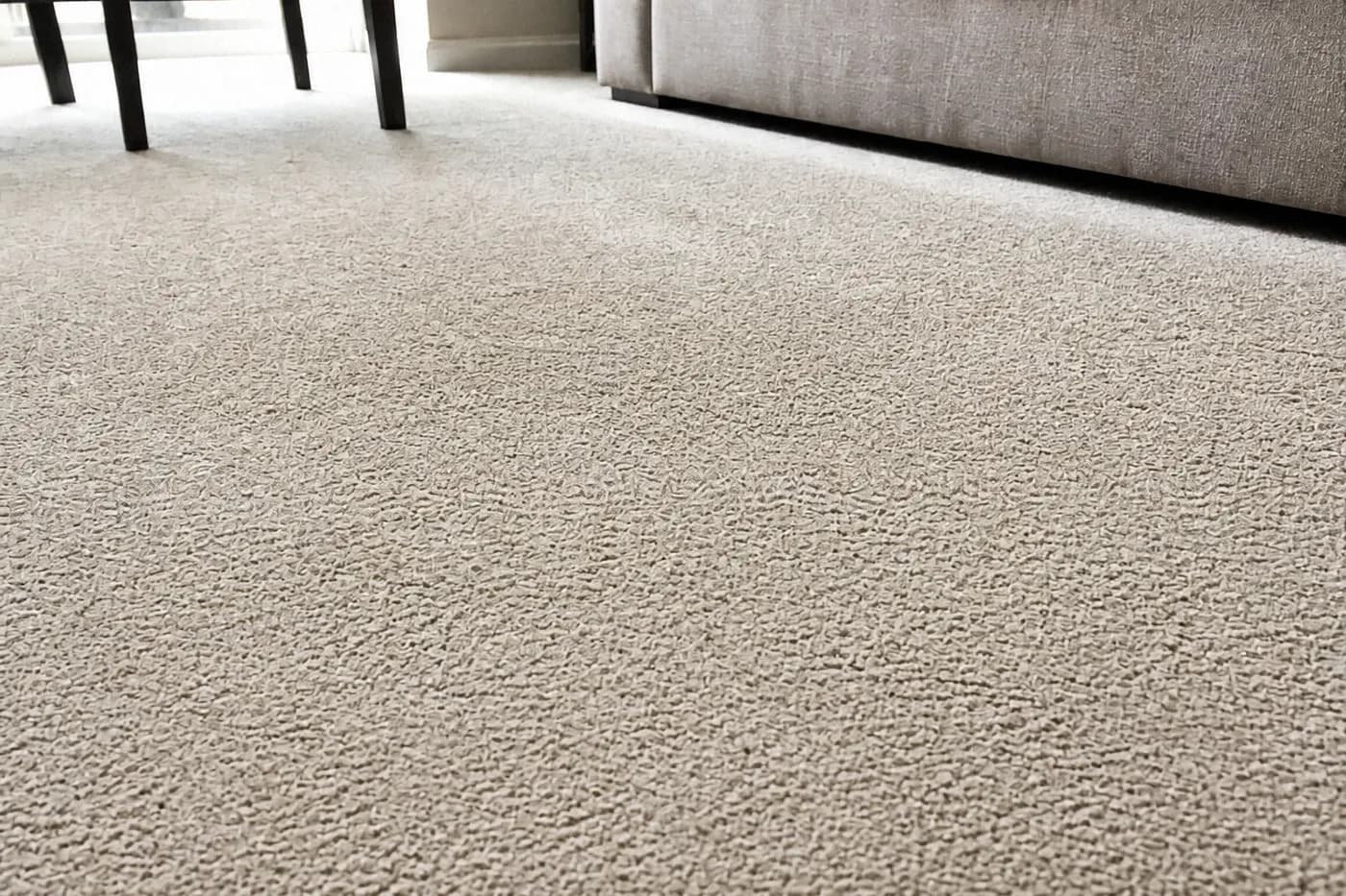 Same carpet after pet soil and hair removal